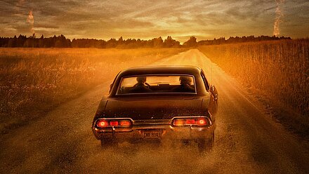 Beyond Marketing: How Fans Shape Brand Identity Through Emotional Resonance